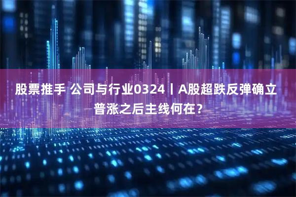 股票推手 公司与行业0324丨A股超跌反弹确立 普涨之后主线何在？