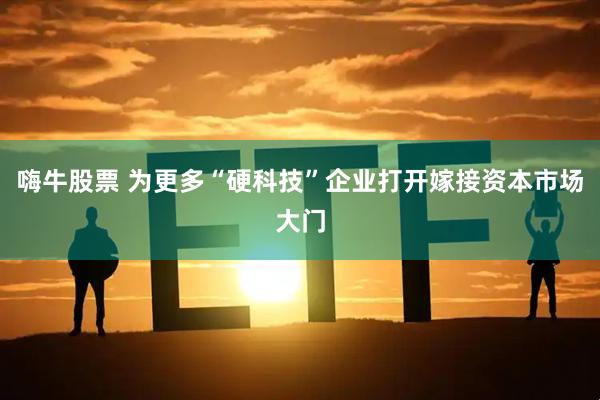 嗨牛股票 为更多“硬科技”企业打开嫁接资本市场大门