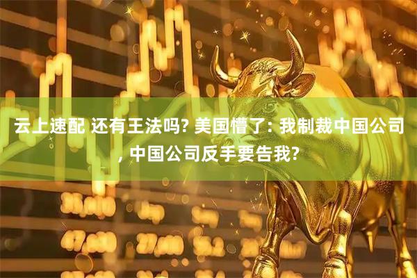 云上速配 还有王法吗? 美国懵了: 我制裁中国公司, 中国公司反手要告我?